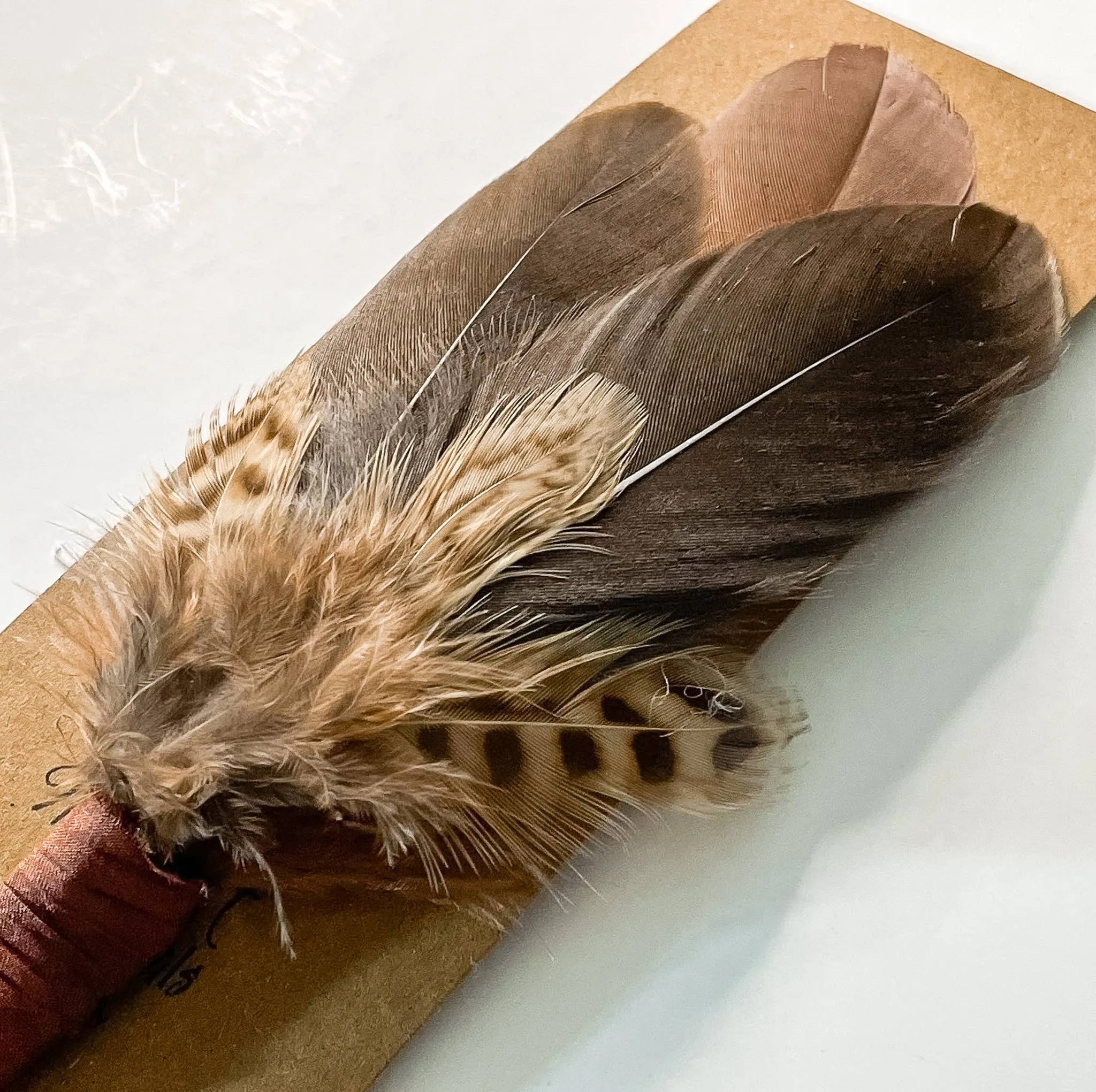 Hat Bar Chestnut Feather Flutter  Hat Pins and Feathers