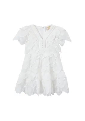 Rosette Embrodiered Dress (Baby)