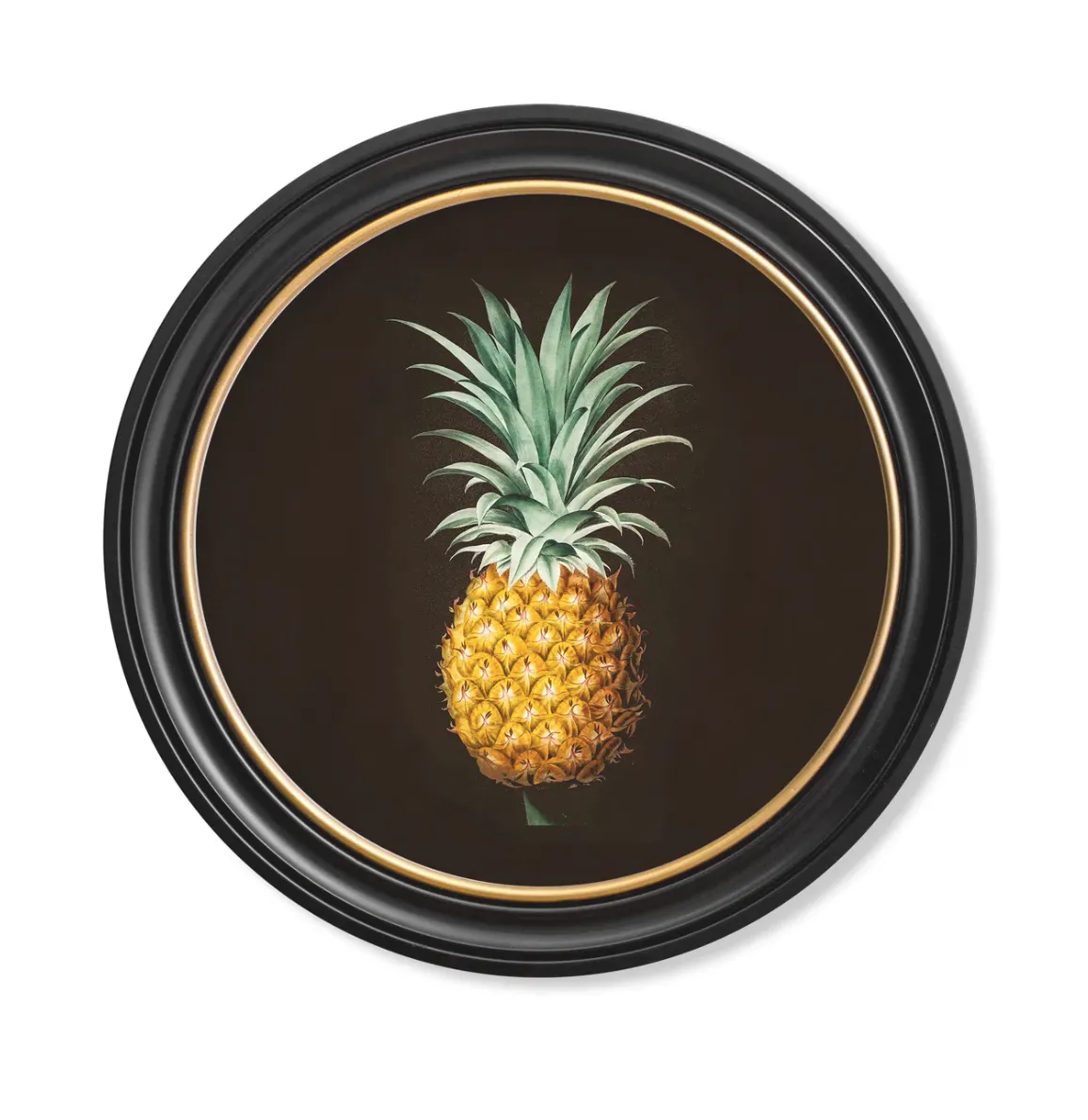 Round Black Pineapple framed art print